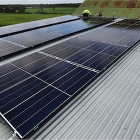 Wa's Jindong Treetop Farm Goes Off-Grid With Redflow and TIEC
