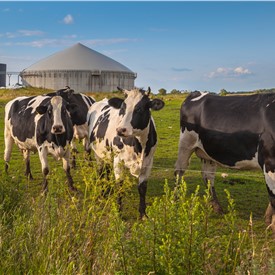 GESS RNG Biogas USA Announces Acquisition of Projects and Strategic Partnerships