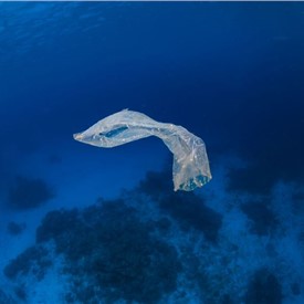 Image - Wartsila and Carnival Corporation partner in sustainability pilot project to reduce plastic waste