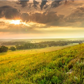 Image - Doubling Protected Lands for Biodiversity Could Require Tradeoffs With Other Land Uses, Study Finds