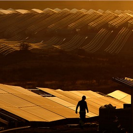 Image - AVANGRID to Support Metas Operations in Texas with New 321 MW Solar Farm