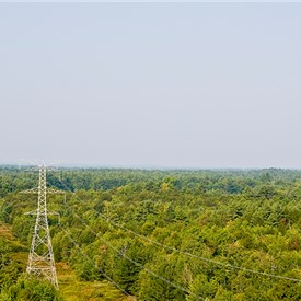 Iberdrola upgrades New York's power grid for offshore wind power consumption