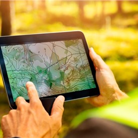 Iberdrola Launches C2N to Reduce the Global Carbon Footprint Through Nature-Based Solutions