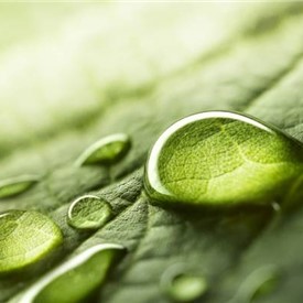 European Commission backs RINA's Hydra Project to Drive 100% Hydrogen fuelled Steel Production