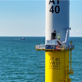 Image - Iberdrola Reinforces its Commitment to Marine Biodiversity and Responsible Offshore Wind Energy Development
