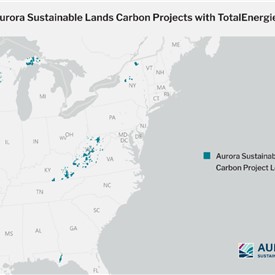 TotalEnergies Invests in Sustainable Forestry Operations to Preserve Sustainable Carbon Sinks