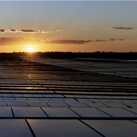 Nextracker's TrueCapture Software: Optimizing Solar Energy Production with Advanced Technology