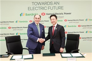  Iberdrola S.A &copy;