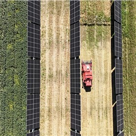 European Energy Wins its First Tenders in France on Two Agrivoltaic Projects