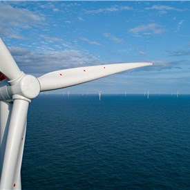 UK Awards 8.4 GW in Europe's Largest Offshore Wind Auction Ever