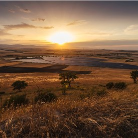 Image - European Energy Begins Construction on Italy's Largest Agrivoltaic Project